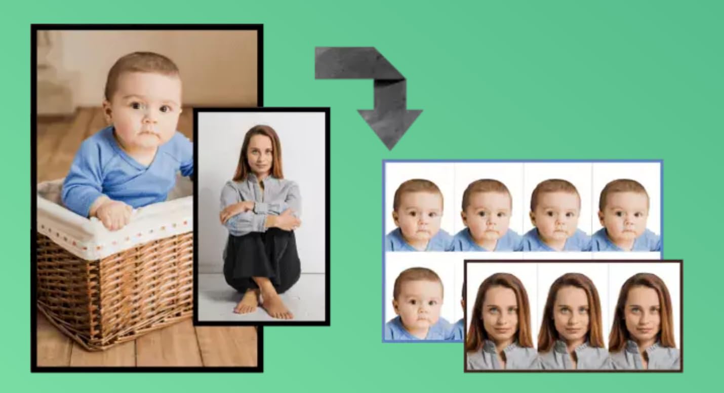 COMPUTER BAZAR Passport Size Photo Printing Software | Print Passport Photos in Just 2 Minutes | Different Template (License Key Card) - Image 4